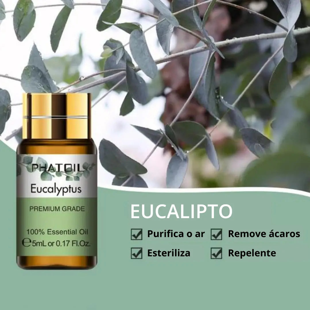 ZenOil - Óleo Essencial Premium 5ml - Eucalipto